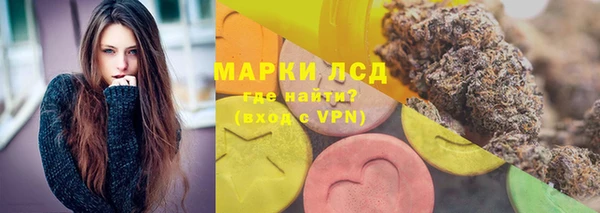 шишки Апатиты