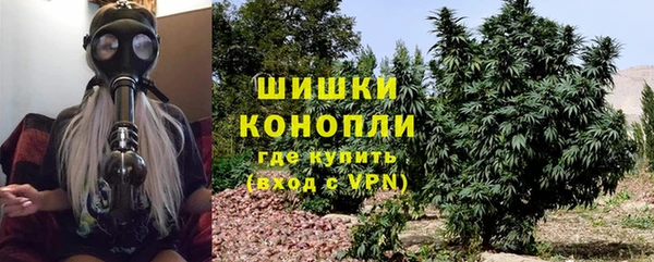 молекула духа Михайловка