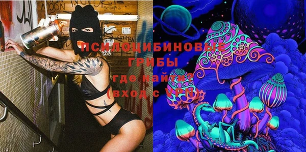 молекула духа Михайловка