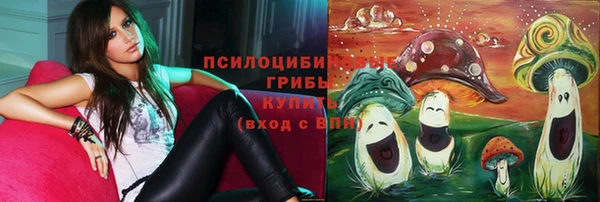 молекула духа Михайловка