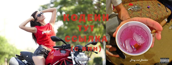 шишки Апатиты