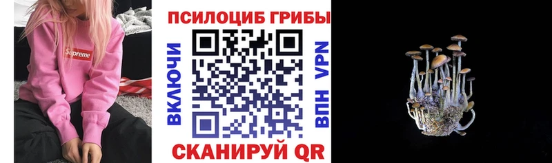 OMG зеркало  купить наркоту  Харовск  Галлюциногенные грибы Psilocybe 